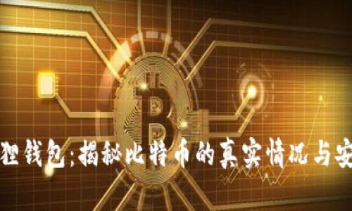 小狐狸钱包:揭秘比特币的真实情况与安全性