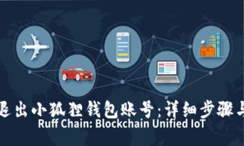 如何安全退出小狐狸钱包账号:详细步骤与注意事项