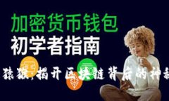 Web3猿猴:揭开区块链背后的神秘面纱