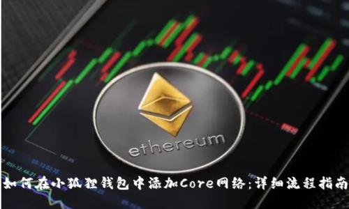 如何在小狐狸钱包中添加Core网络:详细流程指南