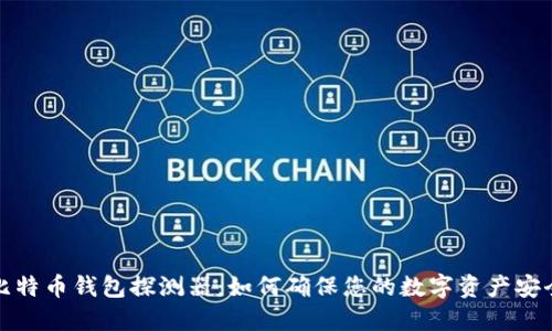 比特币钱包探测器:如何确保您的数字资产安全