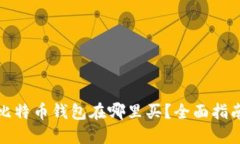 最好的比特币钱包在哪里买?全面指南与推荐