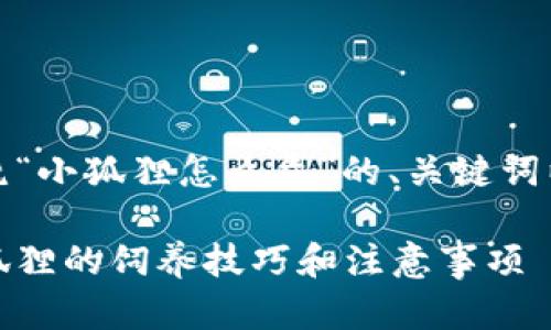 当然可以。以下是围绕“小狐狸怎么弄”的、关键词以及相关内容的结构。

如何养护小狐狸：小狐狸的饲养技巧和注意事项