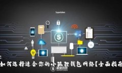 :如何选择适合你的小狐狸钱包网络?全面指南
