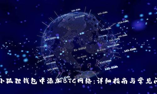 如何在小狐狸钱包中添加BTC网络:详细指南与常见问题解答