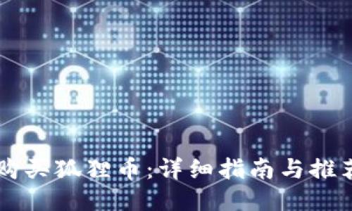 如何购买狐狸币:详细指南与推荐平台