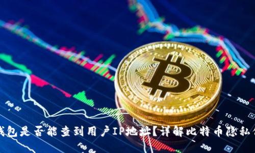 比特币钱包是否能查到用户IP地址?详解比特币隐私保护机制