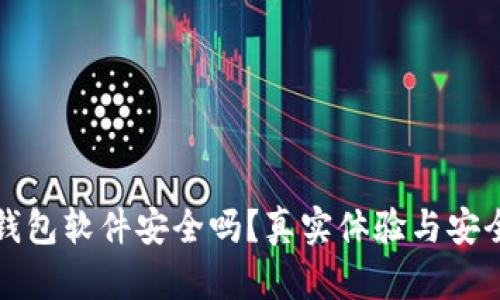小狐狸钱包软件安全吗?真实体验与安全性分析