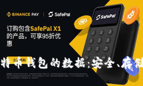 全面解析比特币钱包的数据:安全、存储与使用指南