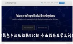 小狐狸钱包手机版切换BSC链:全面指南及常见问