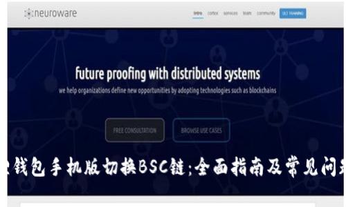 小狐狸钱包手机版切换BSC链:全面指南及常见问题解答