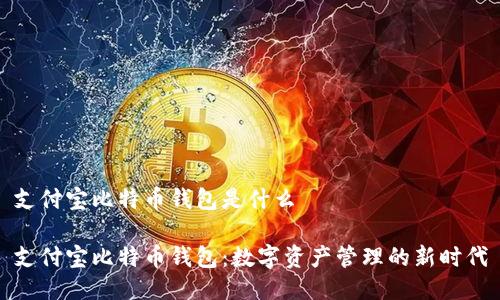 支付宝比特币钱包是什么
支付宝比特币钱包:数字资产管理的新时代