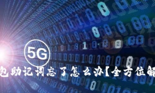 小狐狸钱包助记词忘了怎么办?全方位解答与建议