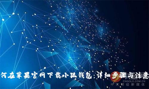 : 如何在苹果官网下载小狐钱包:详细步骤与注意事项