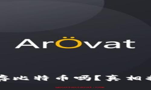 小狐狸钱包能存比特币吗?真相揭秘与使用指南