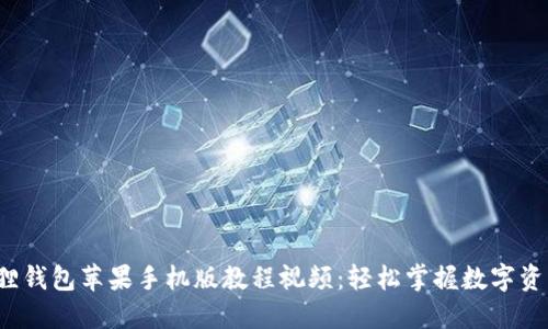 小狐狸钱包苹果手机版教程视频:轻松掌握数字资产管理