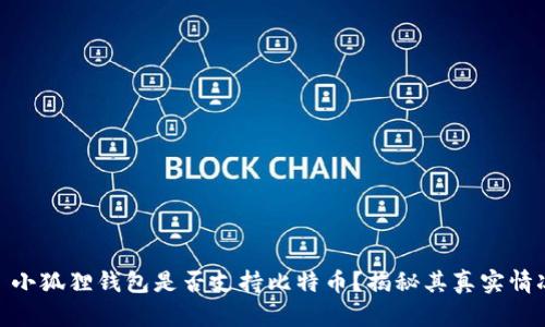 : 小狐狸钱包是否支持比特币?揭秘其真实情况