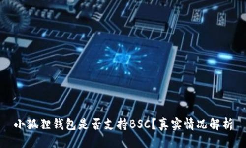 小狐狸钱包是否支持BSC?真实情况解析