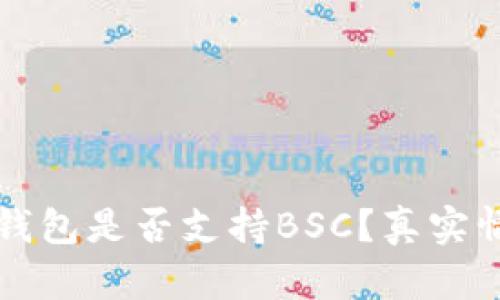 小狐狸钱包是否支持BSC?真实情况解析