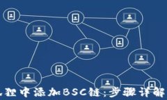 如何在小狐狸中添加BSC链:步骤详解与常见问题