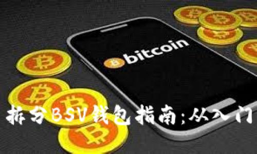 比特币拆分BSV钱包指南:从入门到精通
