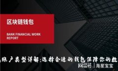 比特币钱包账户类型详解:选择合适的钱包保障