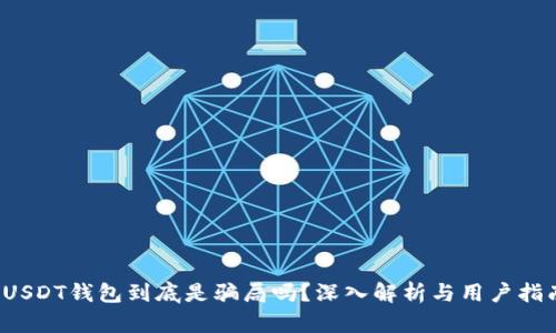  USDT钱包到底是骗局吗？深入解析与用户指南