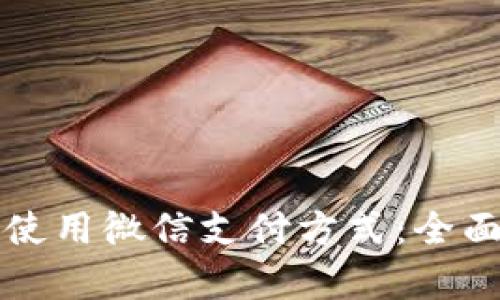 小狐狸钱包如何使用微信支付方式:全面解析与操作指南