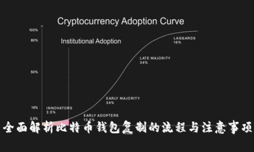全面解析比特币钱包复制的流程与注意事项