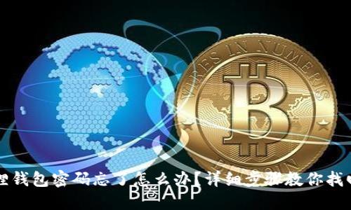 小狐狸钱包密码忘了怎么办?详细步骤教你找回登录