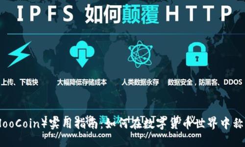 狐币(HooCoin)实用指南:如何在数字货币世界中称王称霸