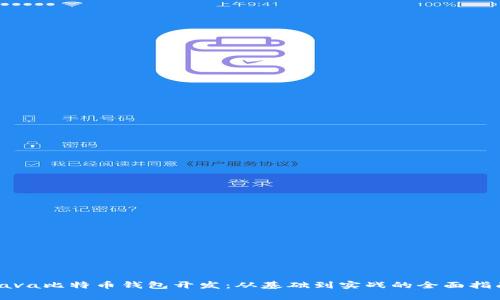 Java比特币钱包开发:从基础到实战的全面指南