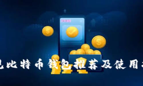 常见比特币钱包推荐及使用指南