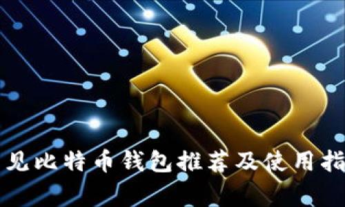 常见比特币钱包推荐及使用指南