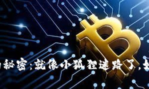 小狐狸钱包登录不上的秘密：就像小狐狸迷路了，如何才能找到回家的路？