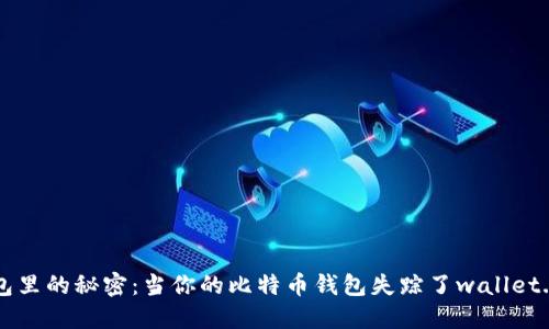 “钱包里的秘密：当你的比特币钱包失踪了wallet.dat”