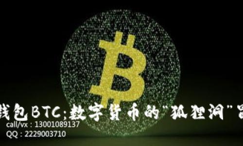 小狐狸钱包BTC：数字货币的“狐狸洞”冒险之旅