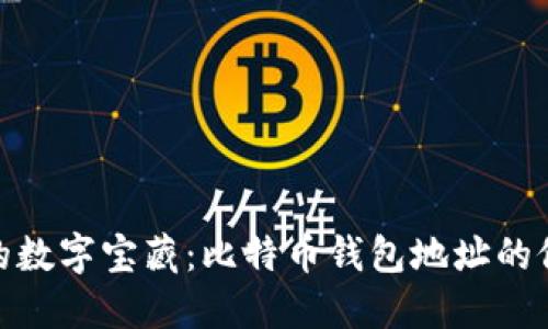 打造你的数字宝藏：比特币钱包地址的修改之道