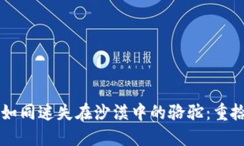 当你的比特币钱包如同迷失在沙漠中的骆驼：重拾安全与访问的指南