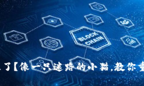 MetaMask卡住了？像一只迷路的小猫，教你重获自由的方法！