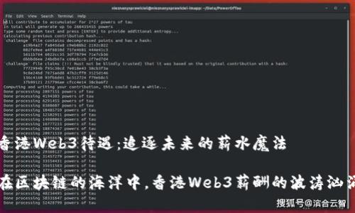 香港Web3待遇：追逐未来的薪水魔法

在区块链的海洋中，香港Web3薪酬的波涛汹涌