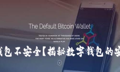 小狐狸钱包不安全？揭秘数字钱包的安全秘笈！