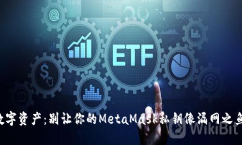 保护你的数字资产：别让你的MetaMask私钥像漏网之鱼一样逃脱！