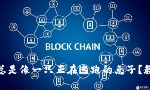 “为何USDT钱包总是像一只正在逃跑的兔子？教你如何驯服它！”