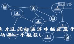 发现海外Web3的宝藏之旅：像寻宝一样激动人心！