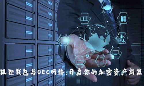 “小狐狸钱包与OEC网络：开启你的加密资产新篇章！”