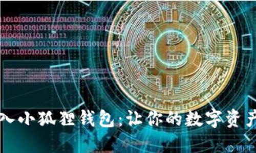 手把手教你如何将币转入小狐狸钱包：让你的数字资产像小狐狸一样灵巧跳跃