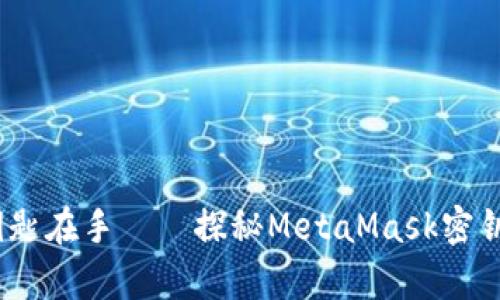 “心中有锁，钥匙在手——探秘MetaMask密钥存储的玄机”