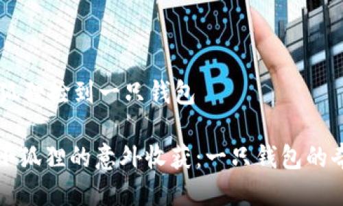 ## 小狐狸捡到一只钱包

### 小狐狸的意外收获：一只钱包的奇幻冒险