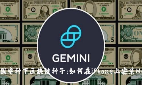 “在苹果果园中种下区块链种子：如何在iPhone上安装MetaMask！”